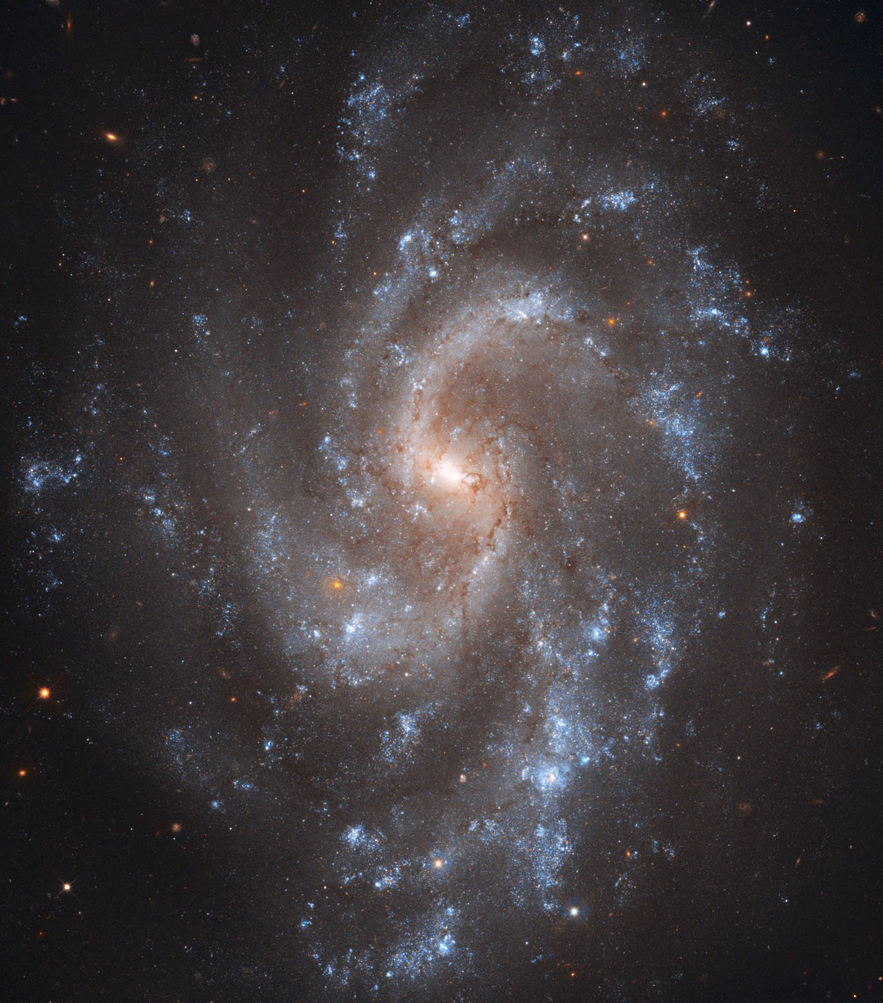 NGC 5584