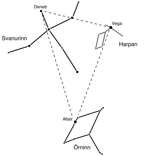 Sumarrhyrningurinn